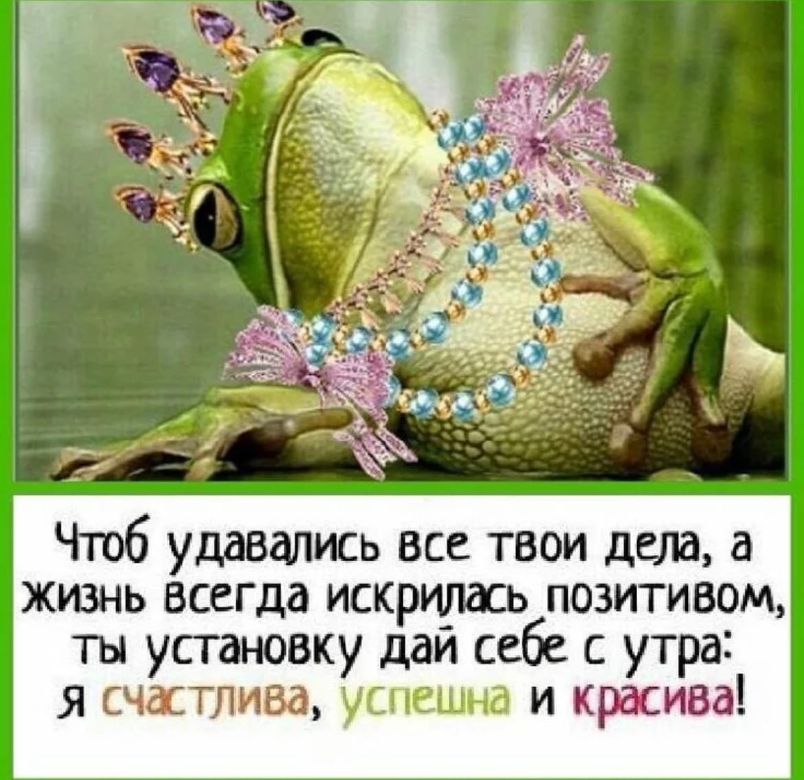 Открытки с добрым утром с ромашками