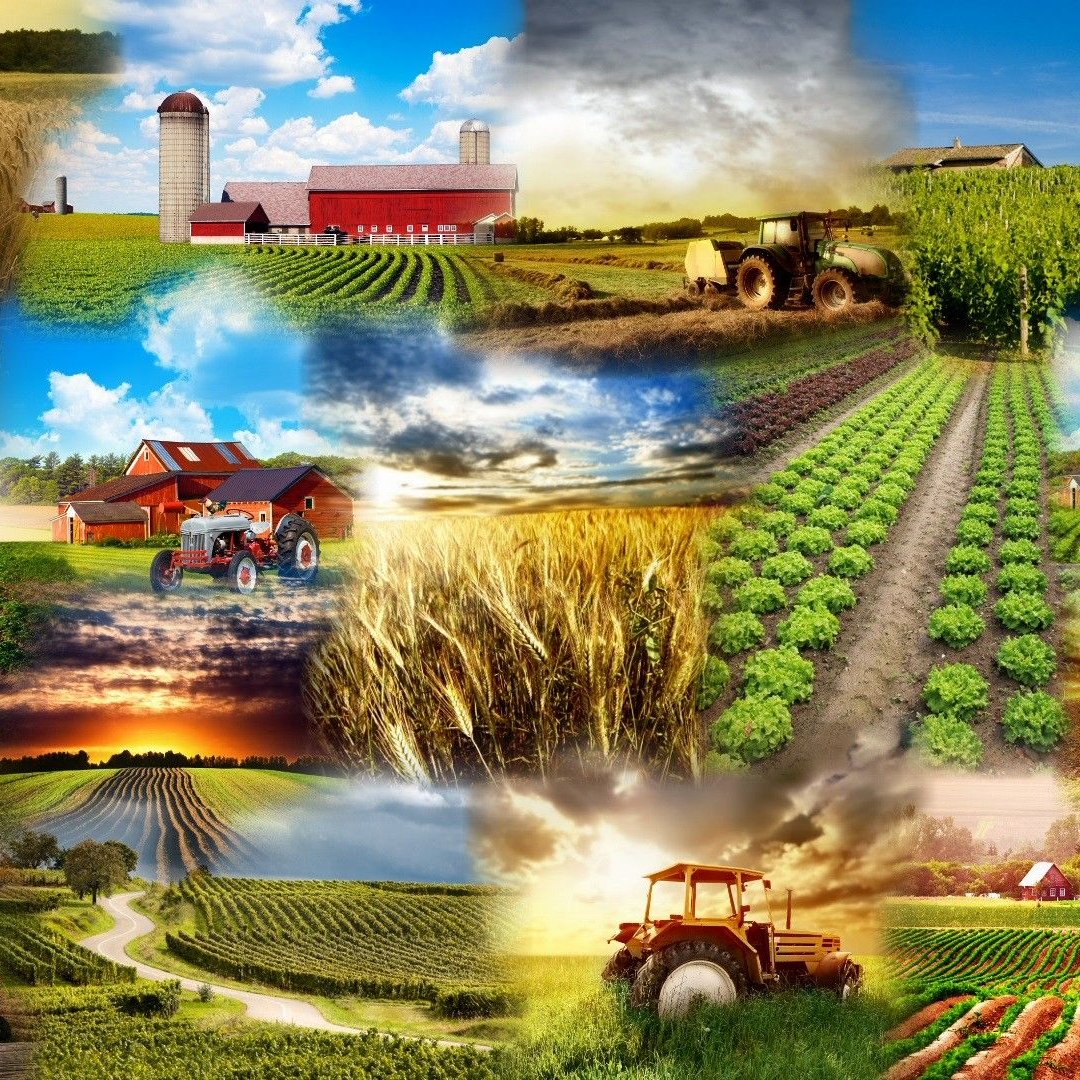 Блокнот сельское хозяйство