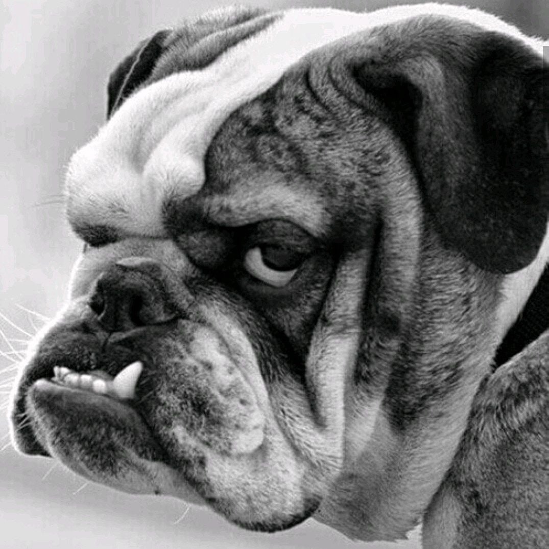 Качество фотографии зависит от лица заказчика смешно