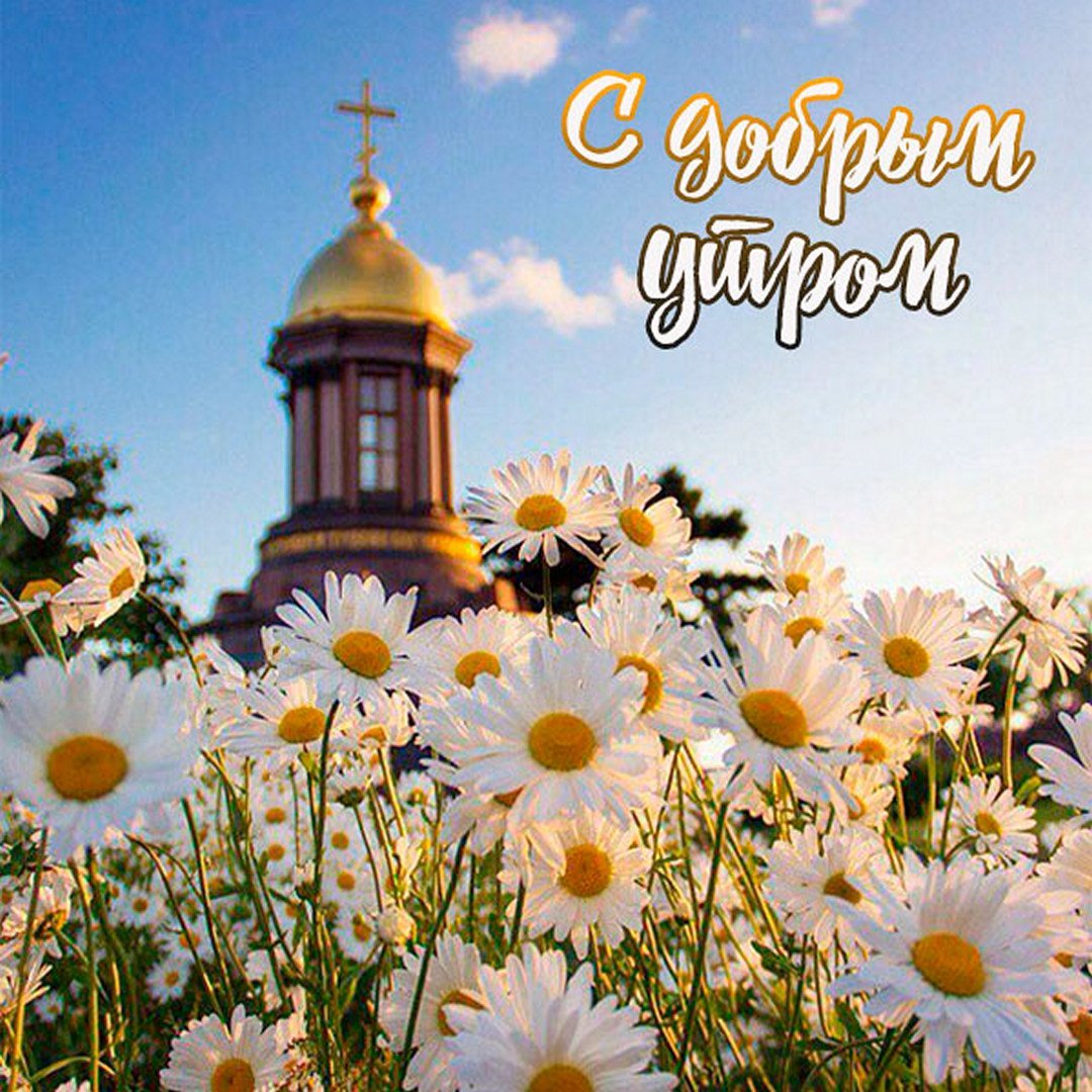 Полевые цветы и храм