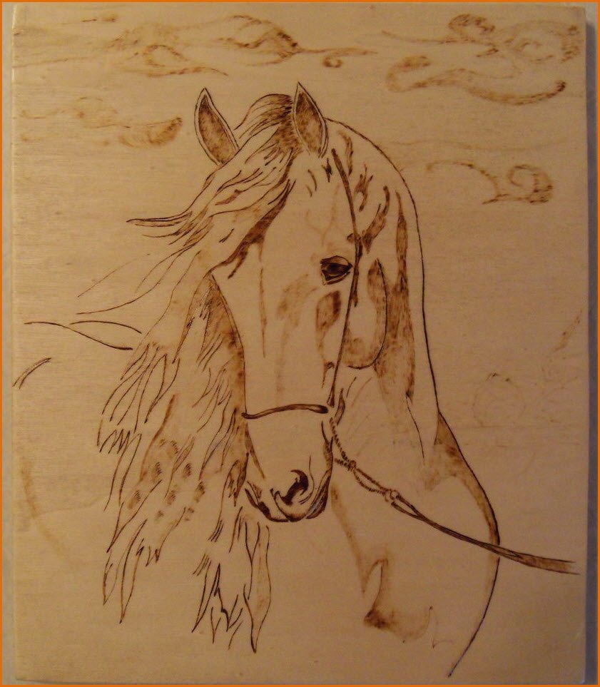 Картина выжигом по дереву