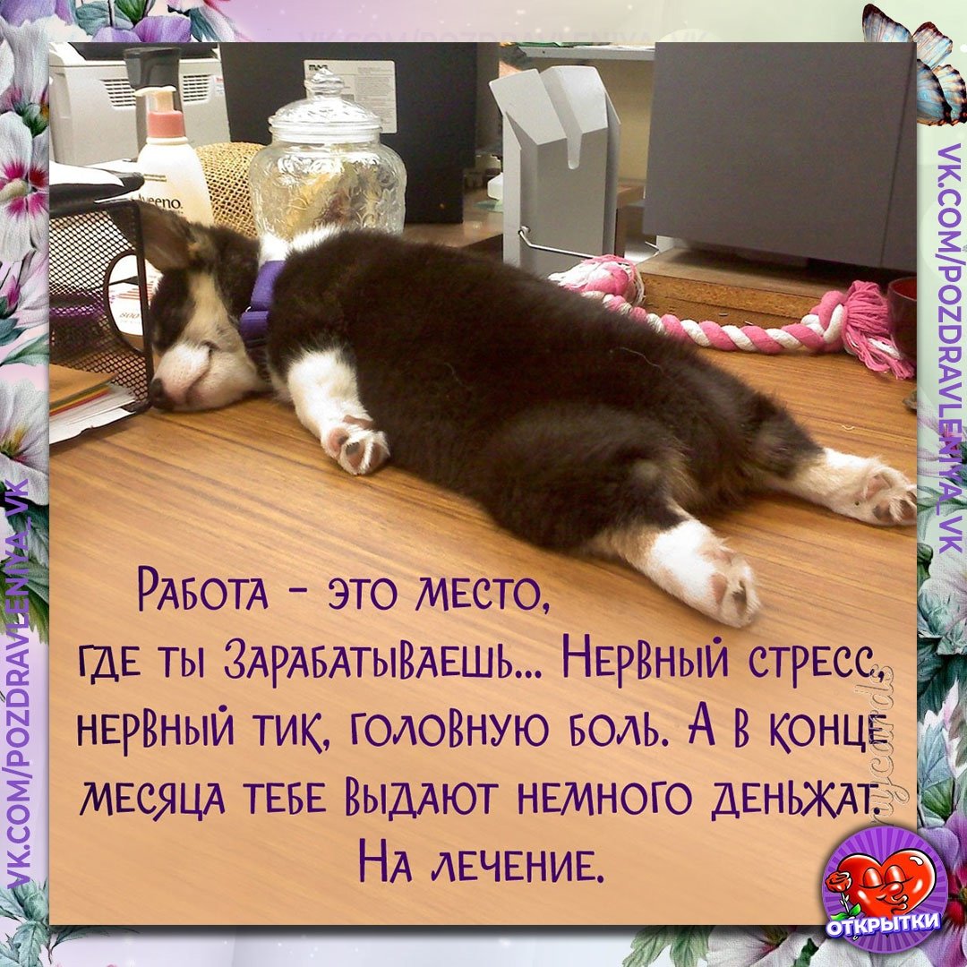 Спать демотиватор