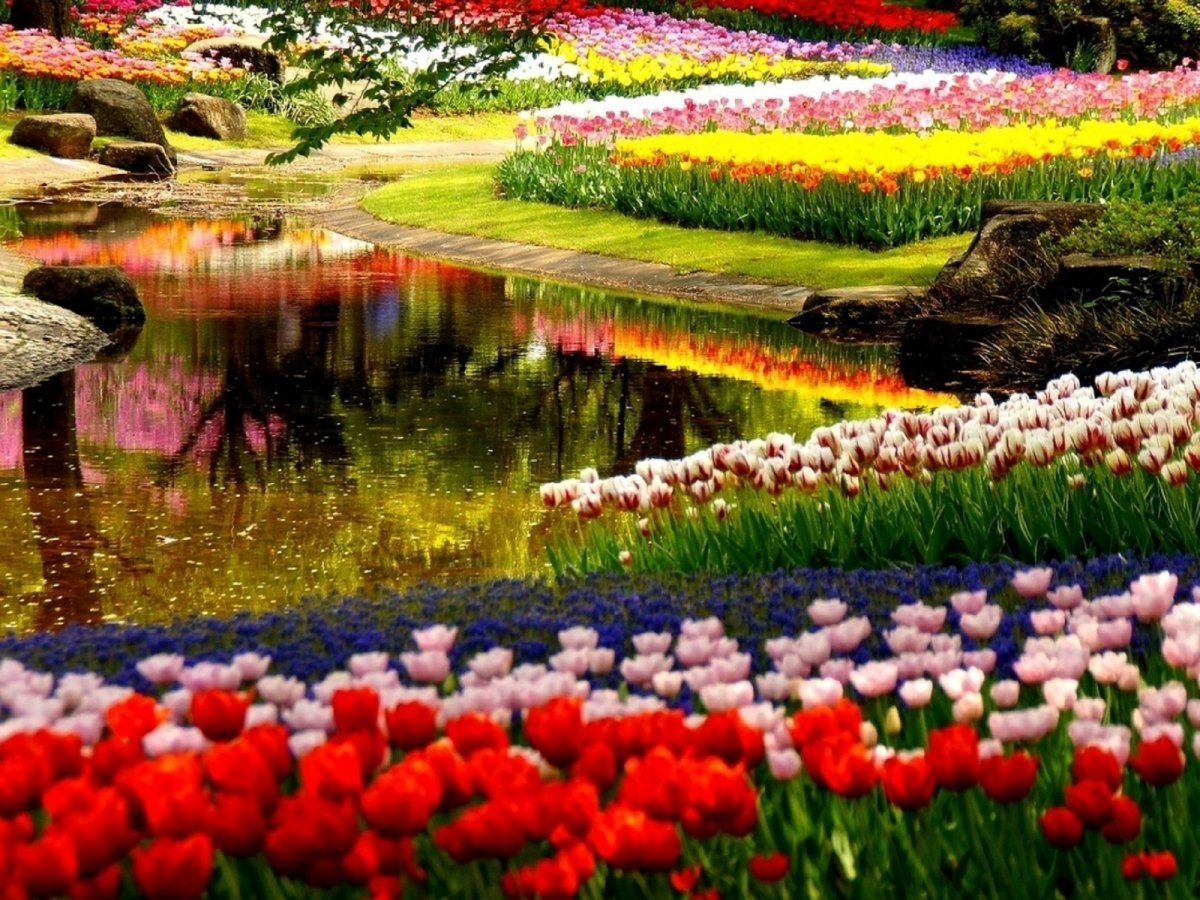 Весенний сад (Spring Topiary Garden)