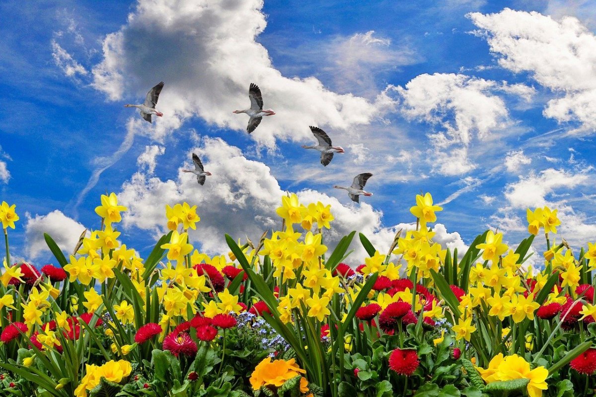 Яркие весенние пейзажи Baner