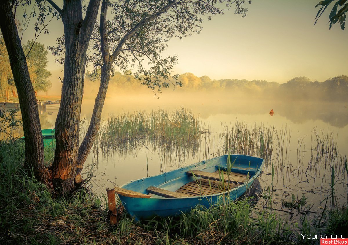 Лодка на пруду