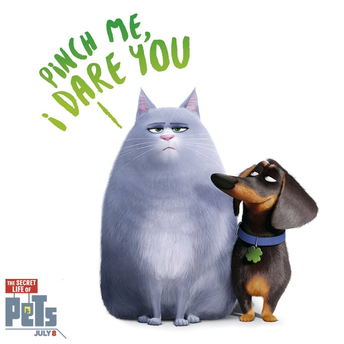 Тайная жизнь домашних животных 2016