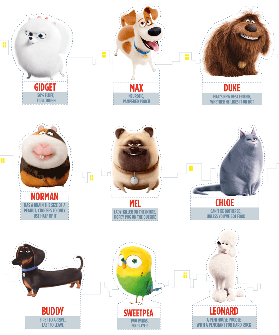 The Secret Life of Pets Worksheets