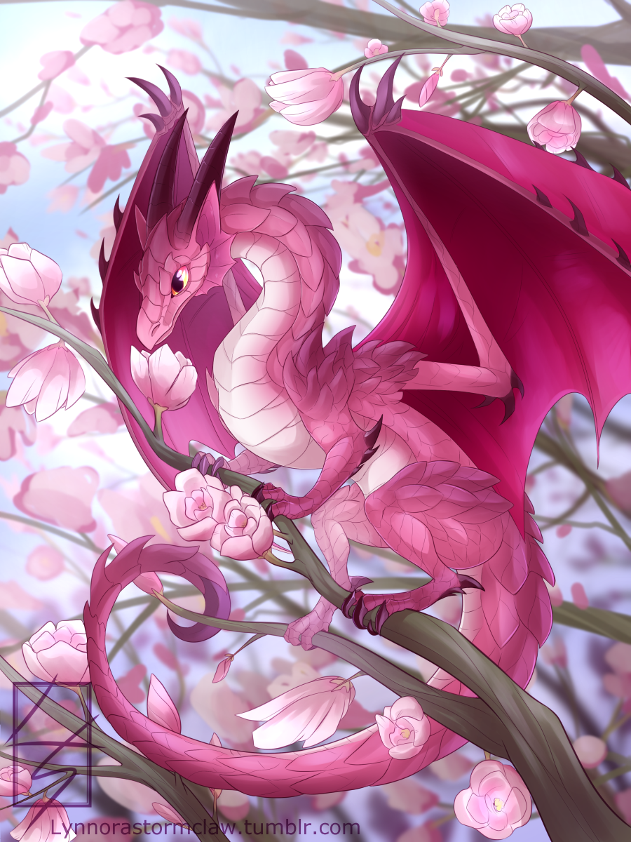 Гебридский чёрный дракон