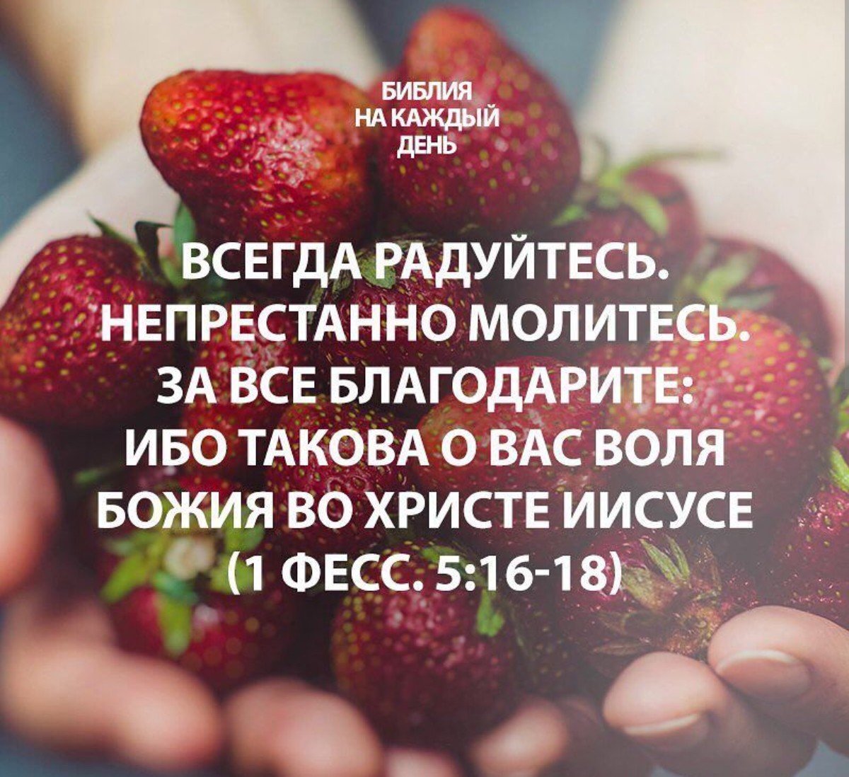 Доброе зимнее утро с Богом