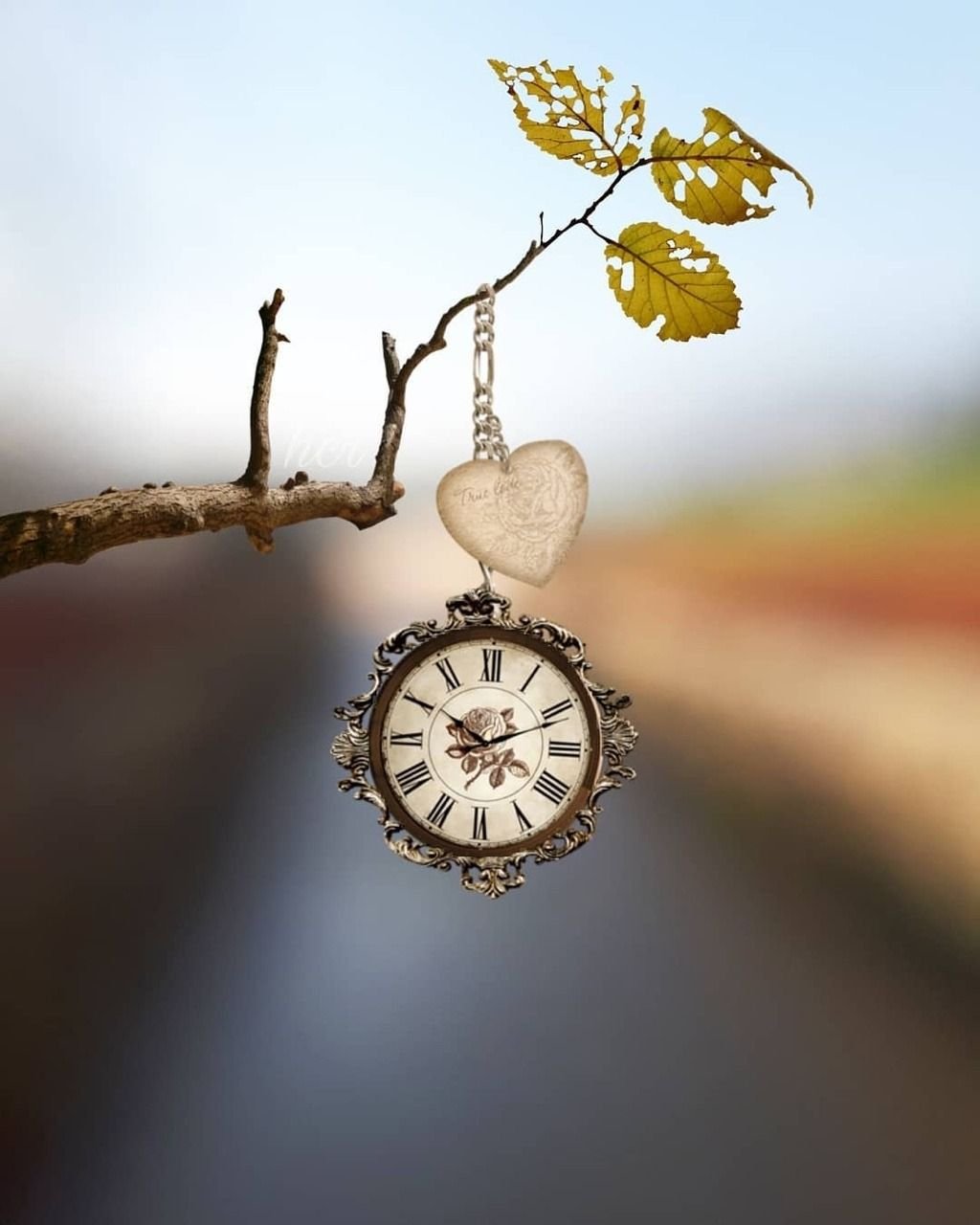 Всему своё время цитаты