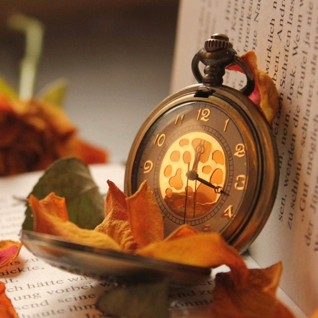 Всему свое время