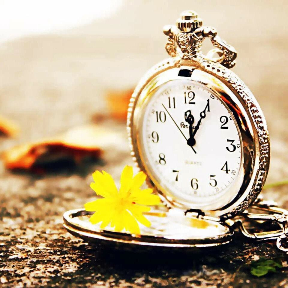 Цитаты со смыслом