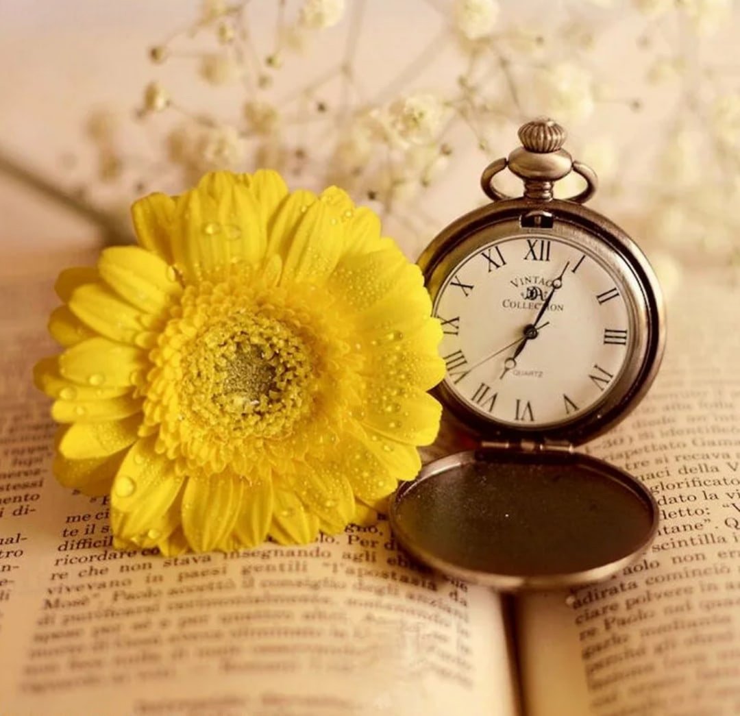 Всему свое время цитаты