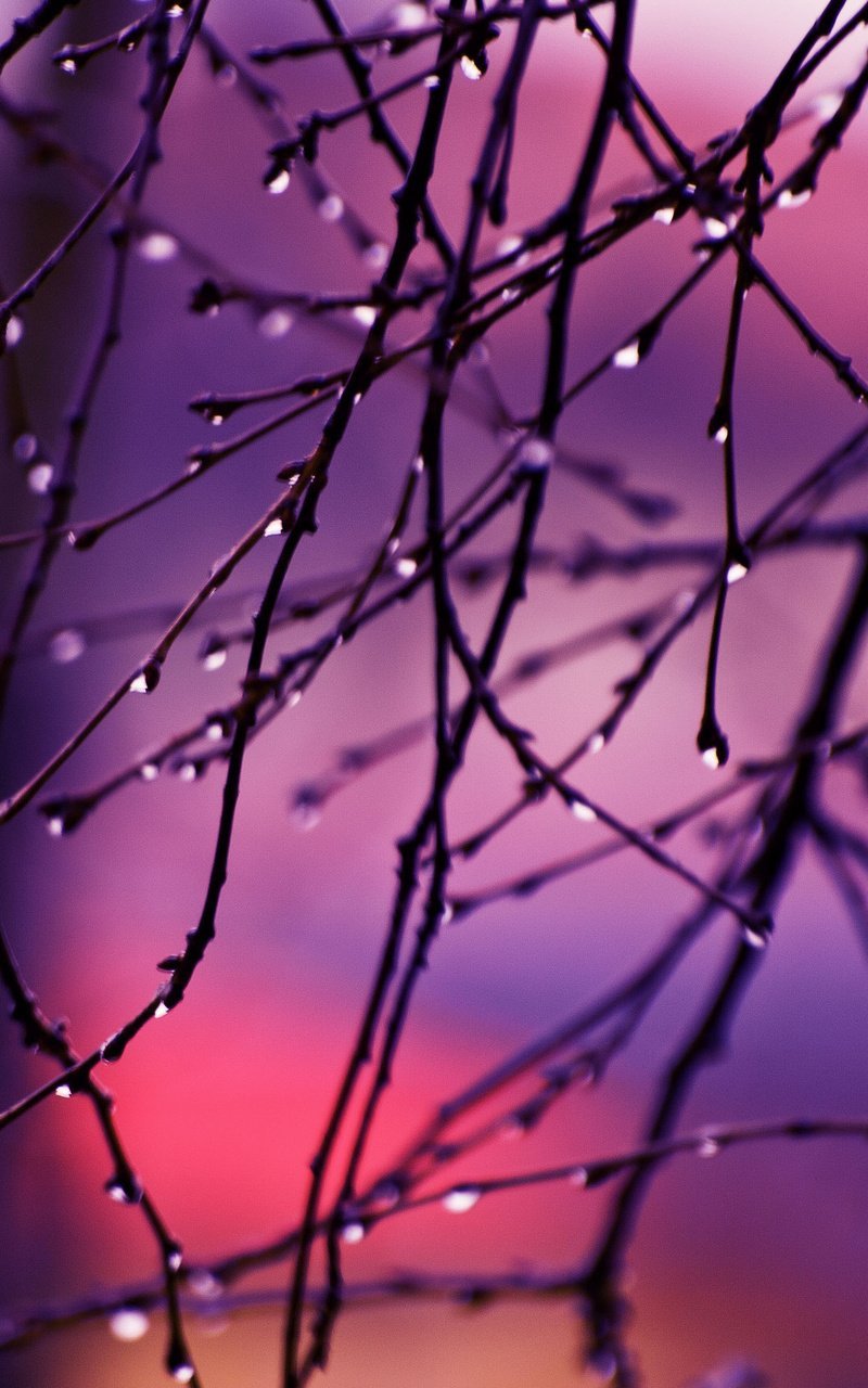 Фотографирует на айфон