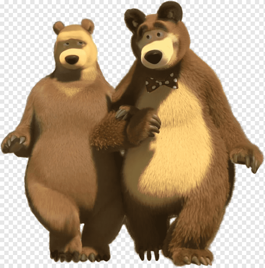 Маша и медведь медведь и Медведица