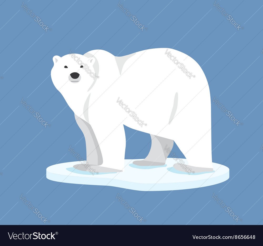 Нарисуй маленького белого медвежонка