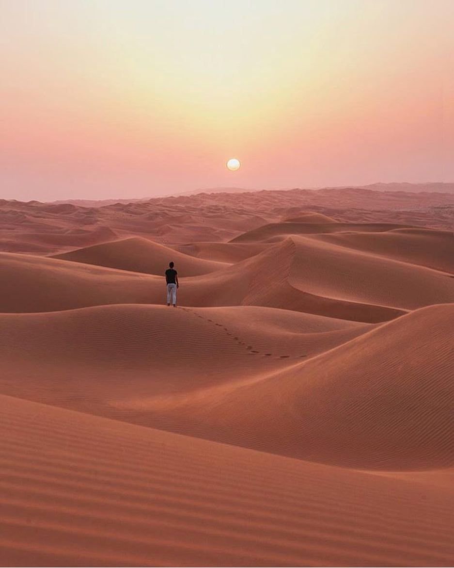 Сафари в пустыне ОАЭ