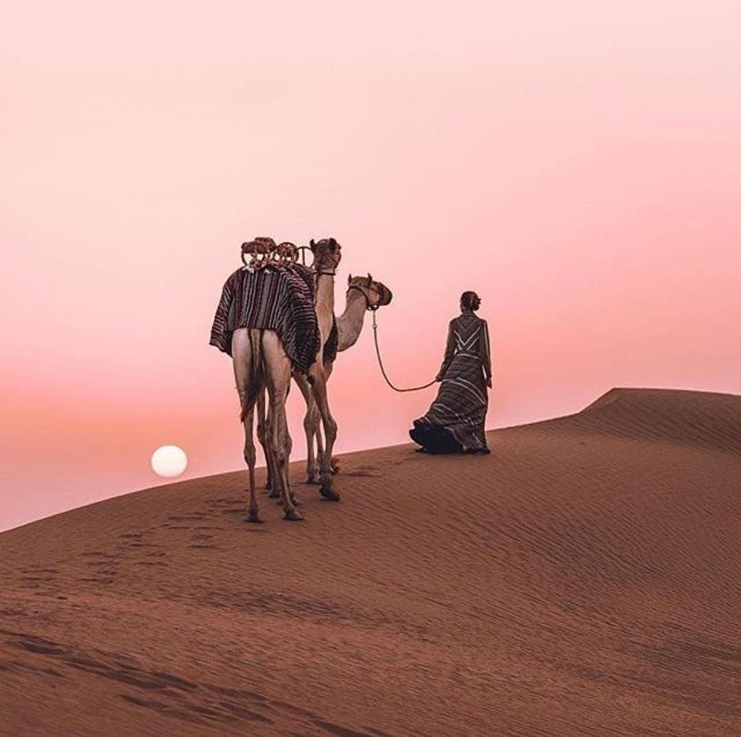 Двое в пустыне