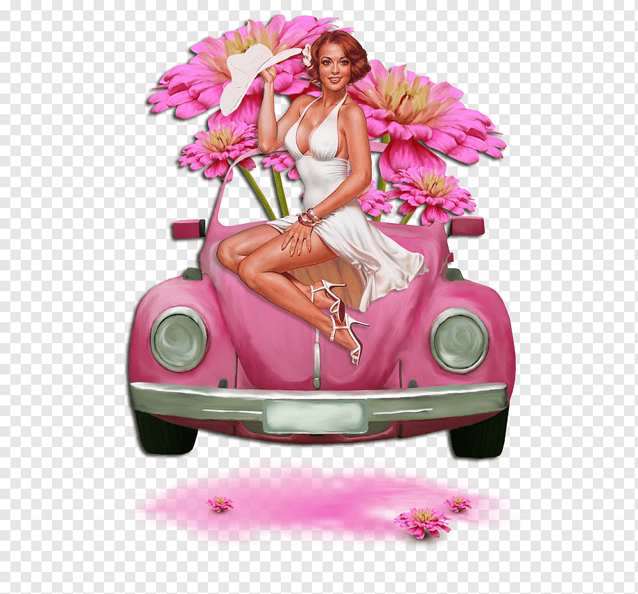 Женские ноги в автомобиле