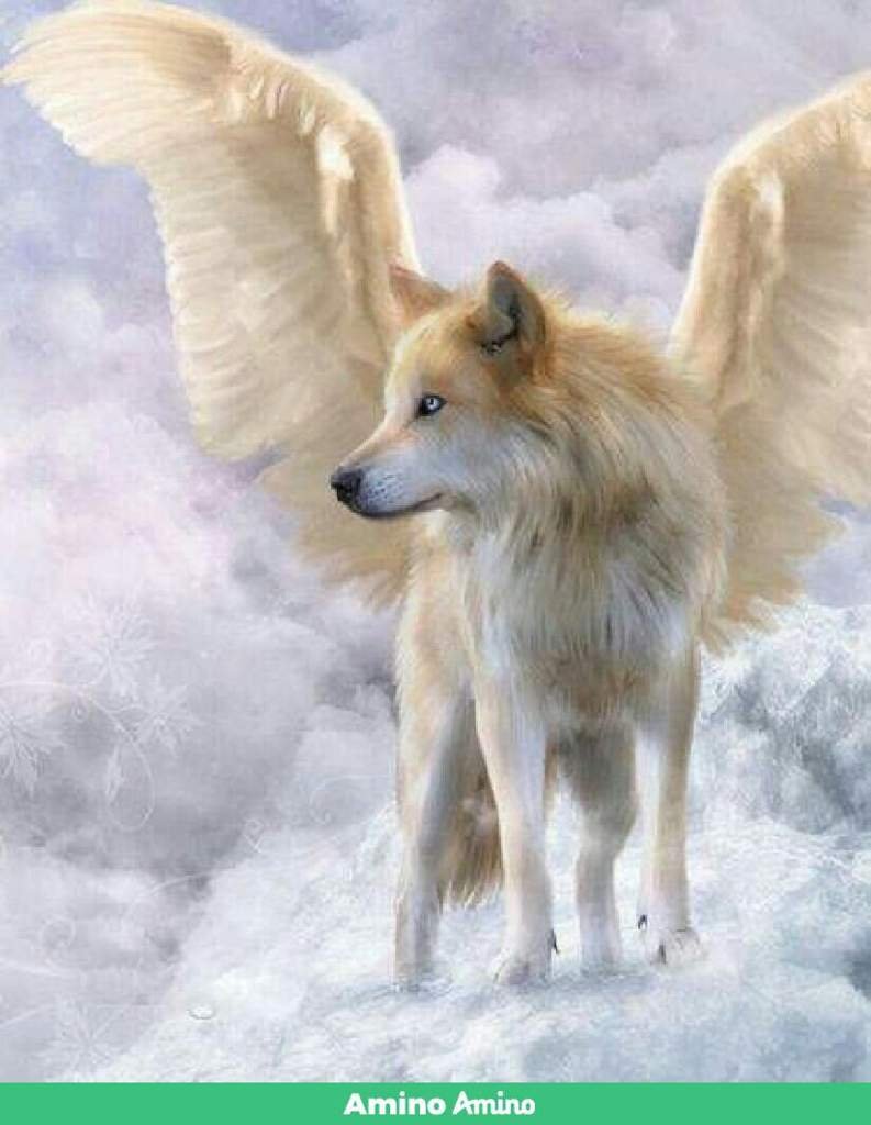 Собака с крыльями