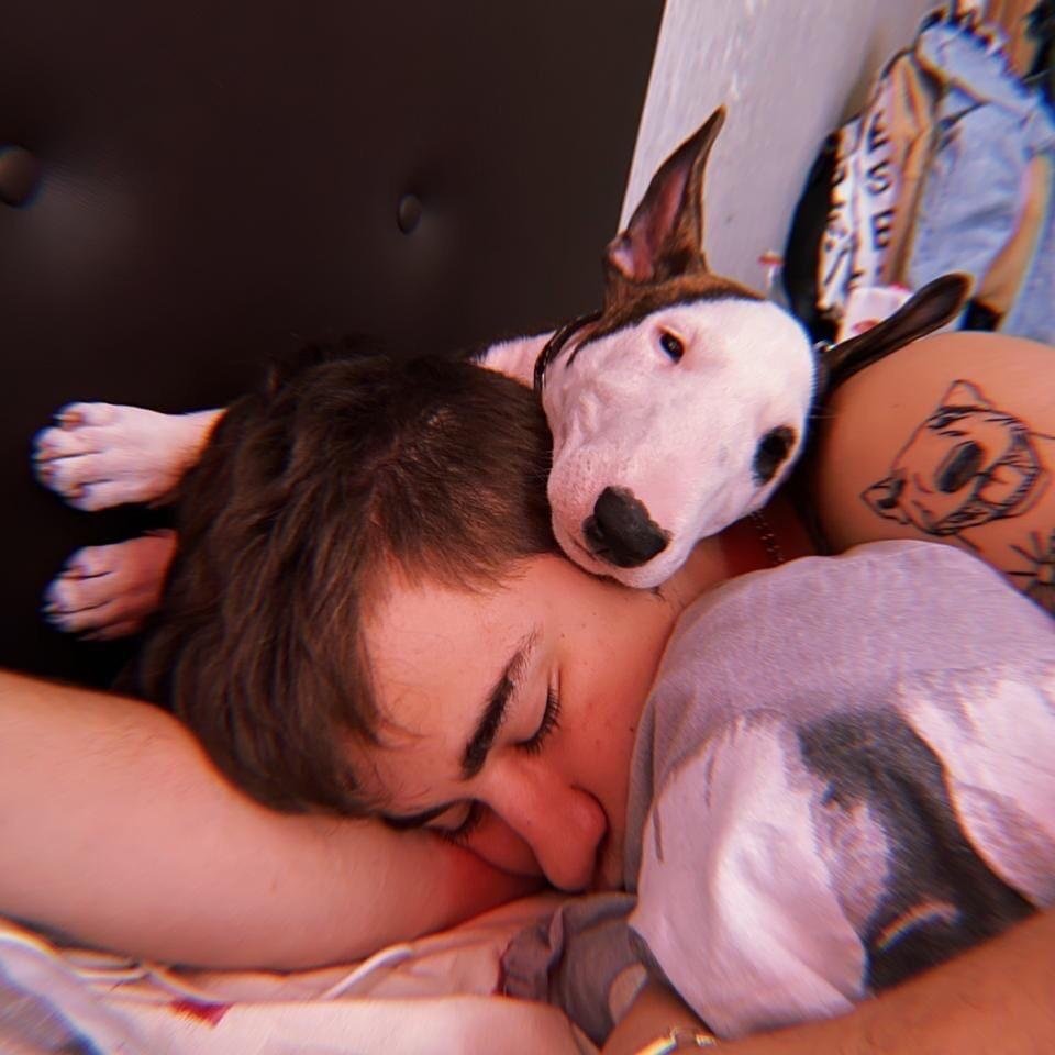 Собачья Радуга