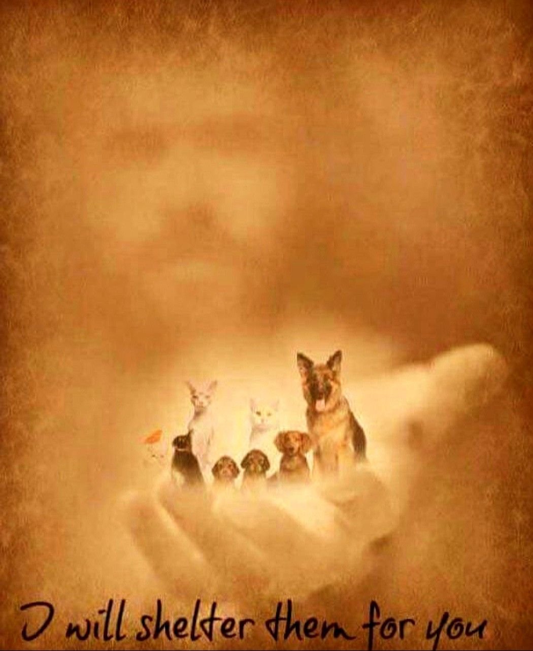 Собака друг человека