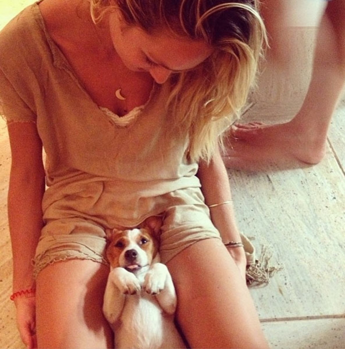 Собака с нимбом