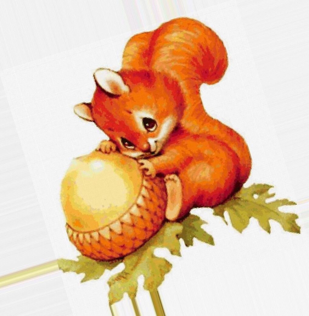 Белочка рисунок для детей