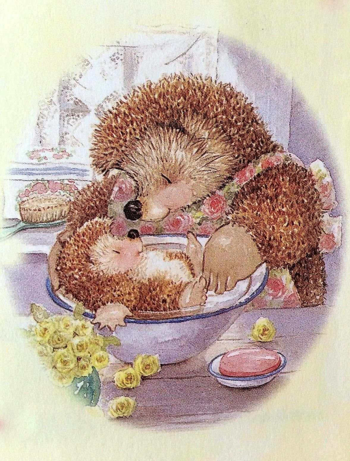 Милые ежики иллюстрации