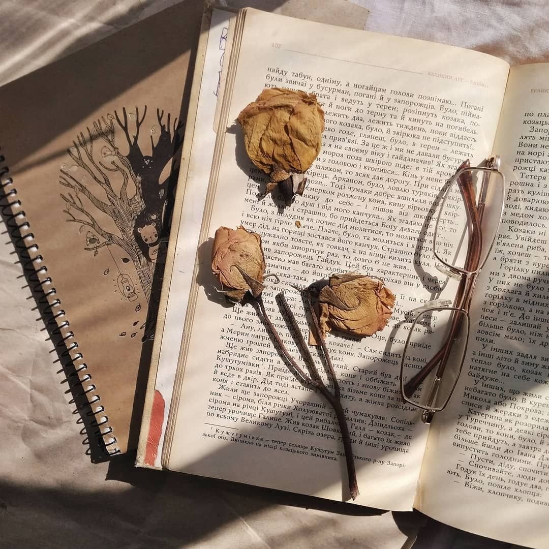 Книги Эстетика бежевый