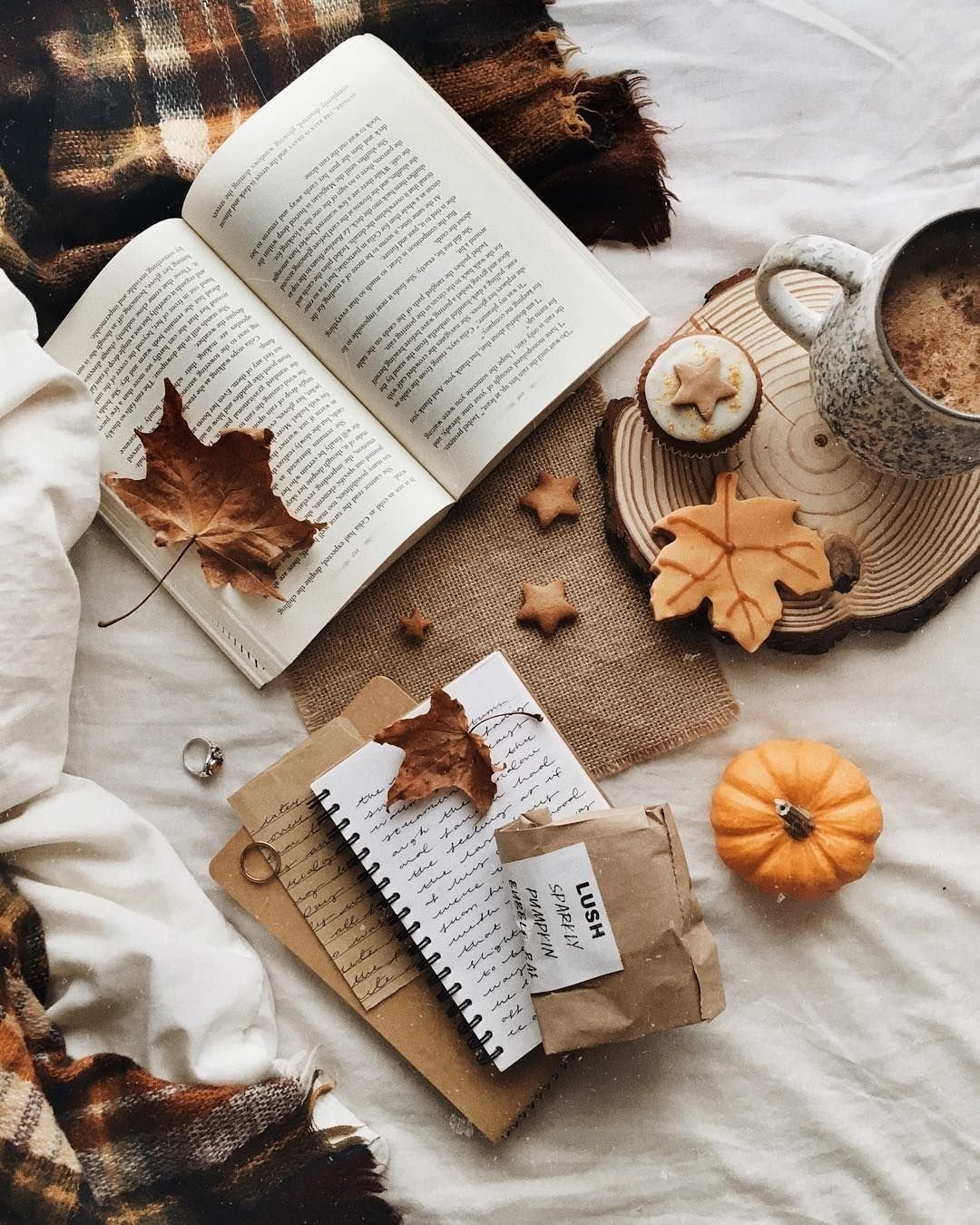 Уютная осень