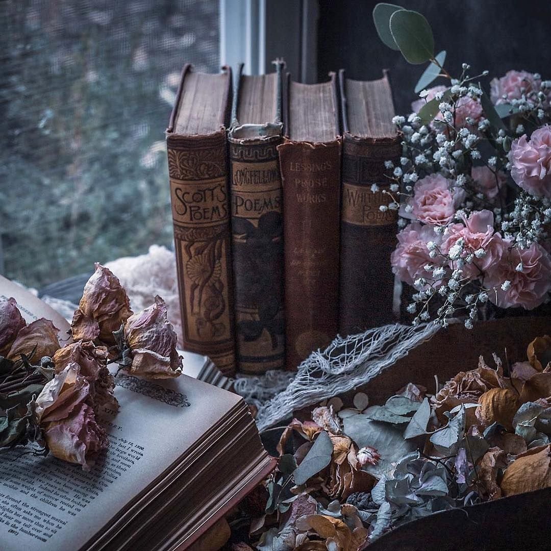 Книги Эстетика