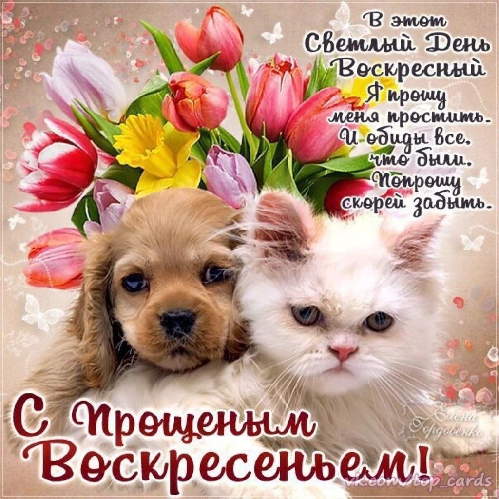 Прощенное воскресенье поздравления