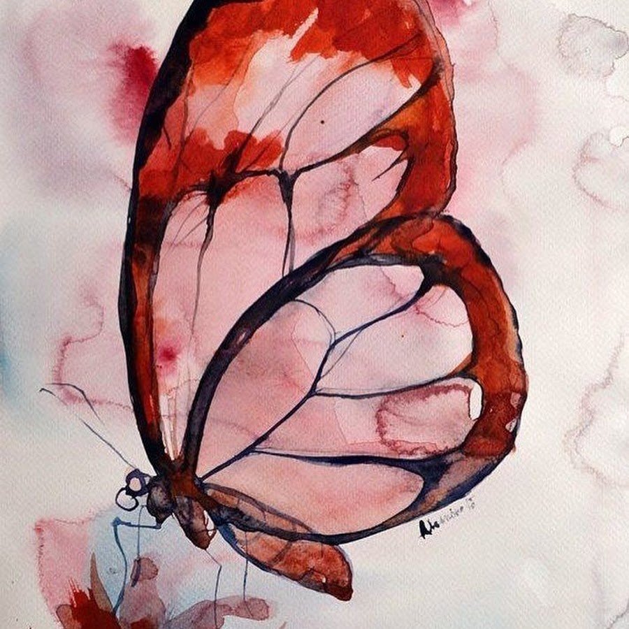 Акварель "бабочка"
