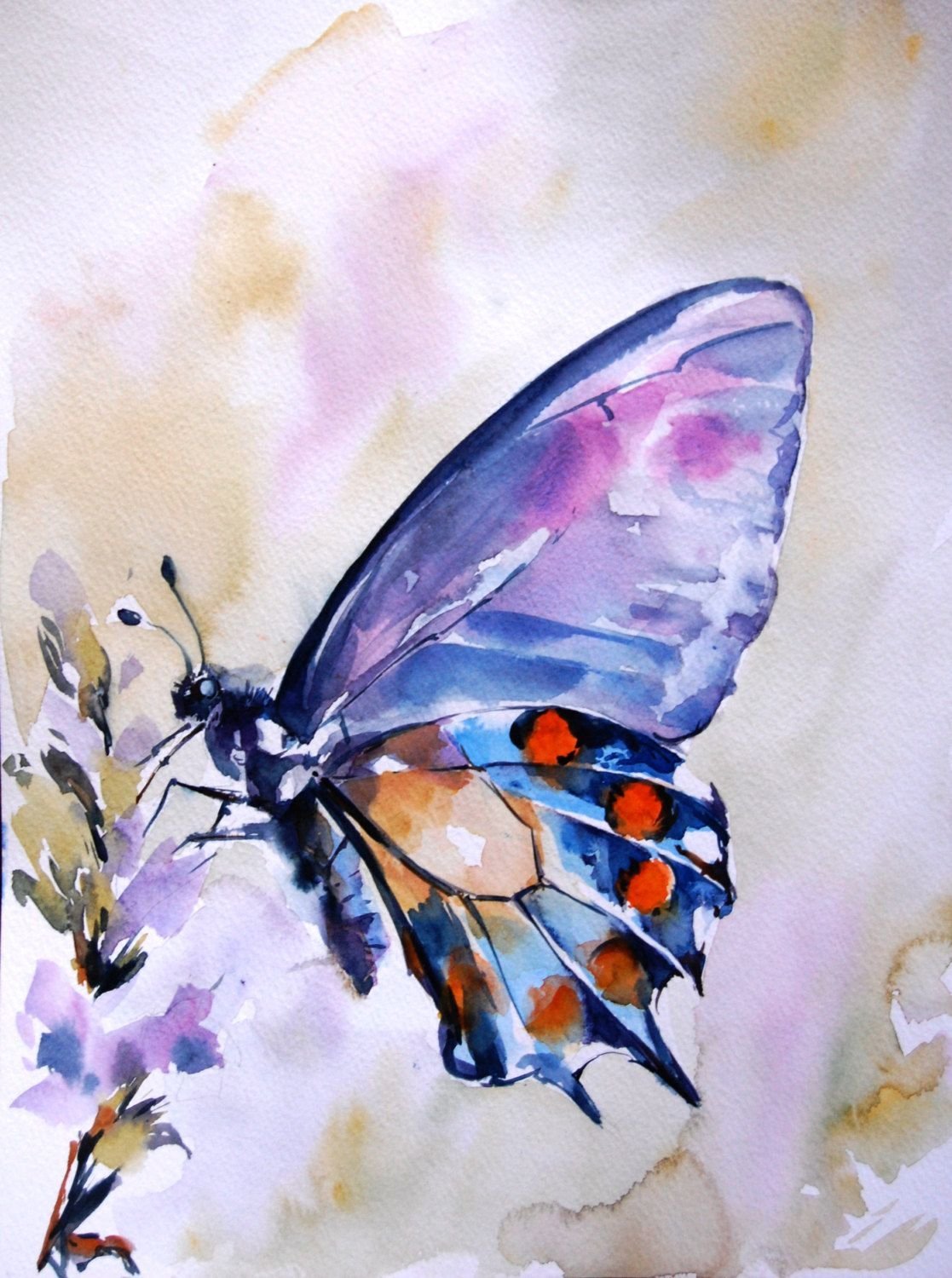 Бабочка Акварельная живопись