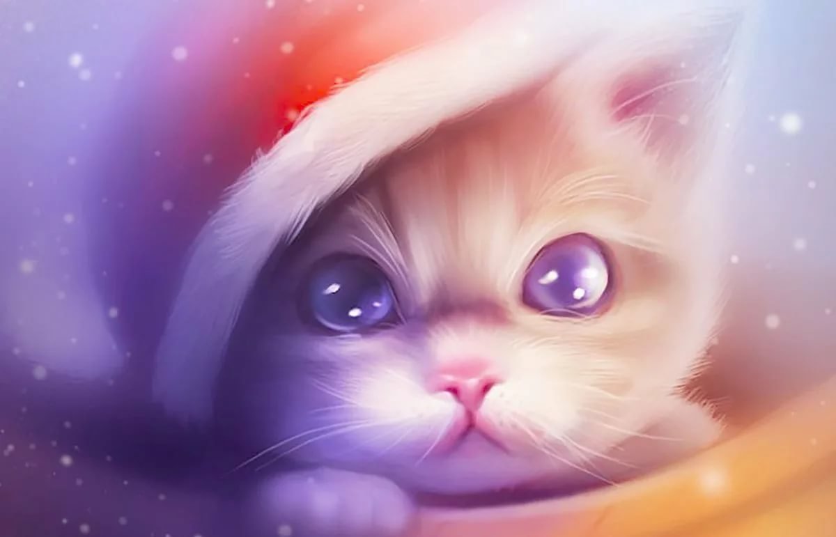 Котик с голубыми глазами