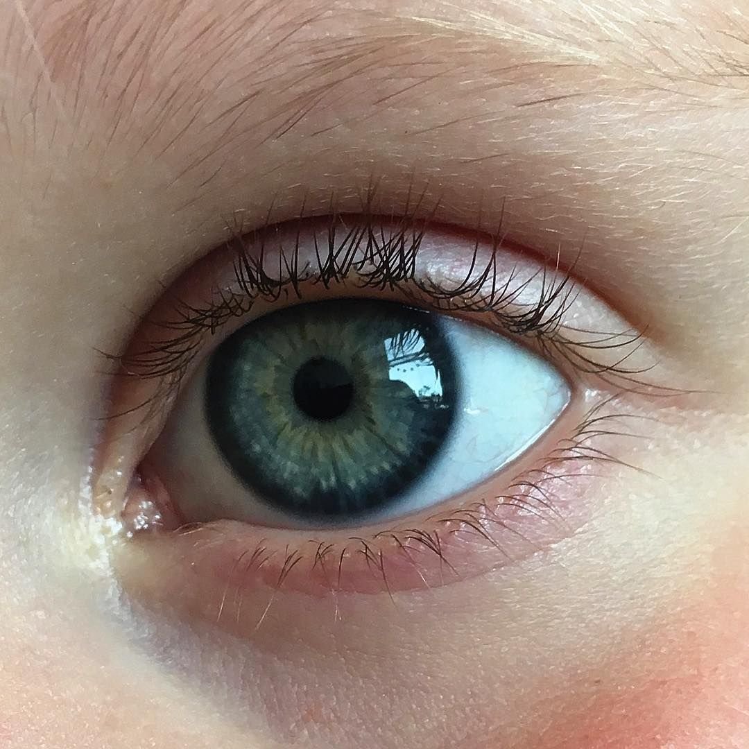 Зеленый цвет глаз референс