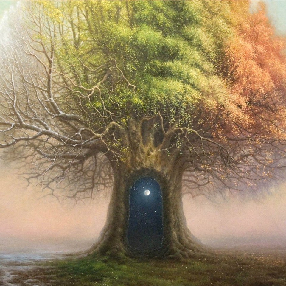 Томаш Ален Копера дерево