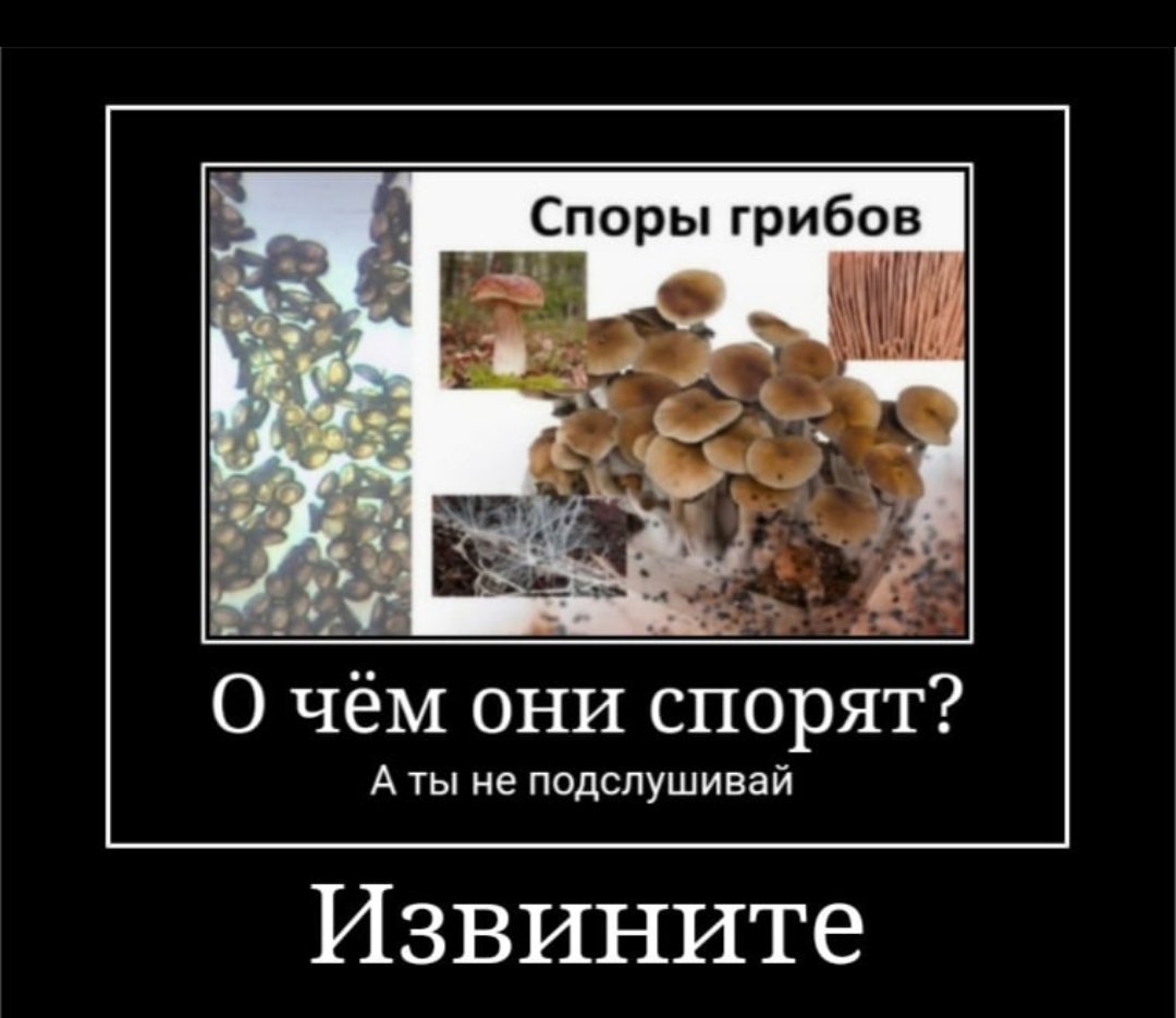 Мемы про грибы