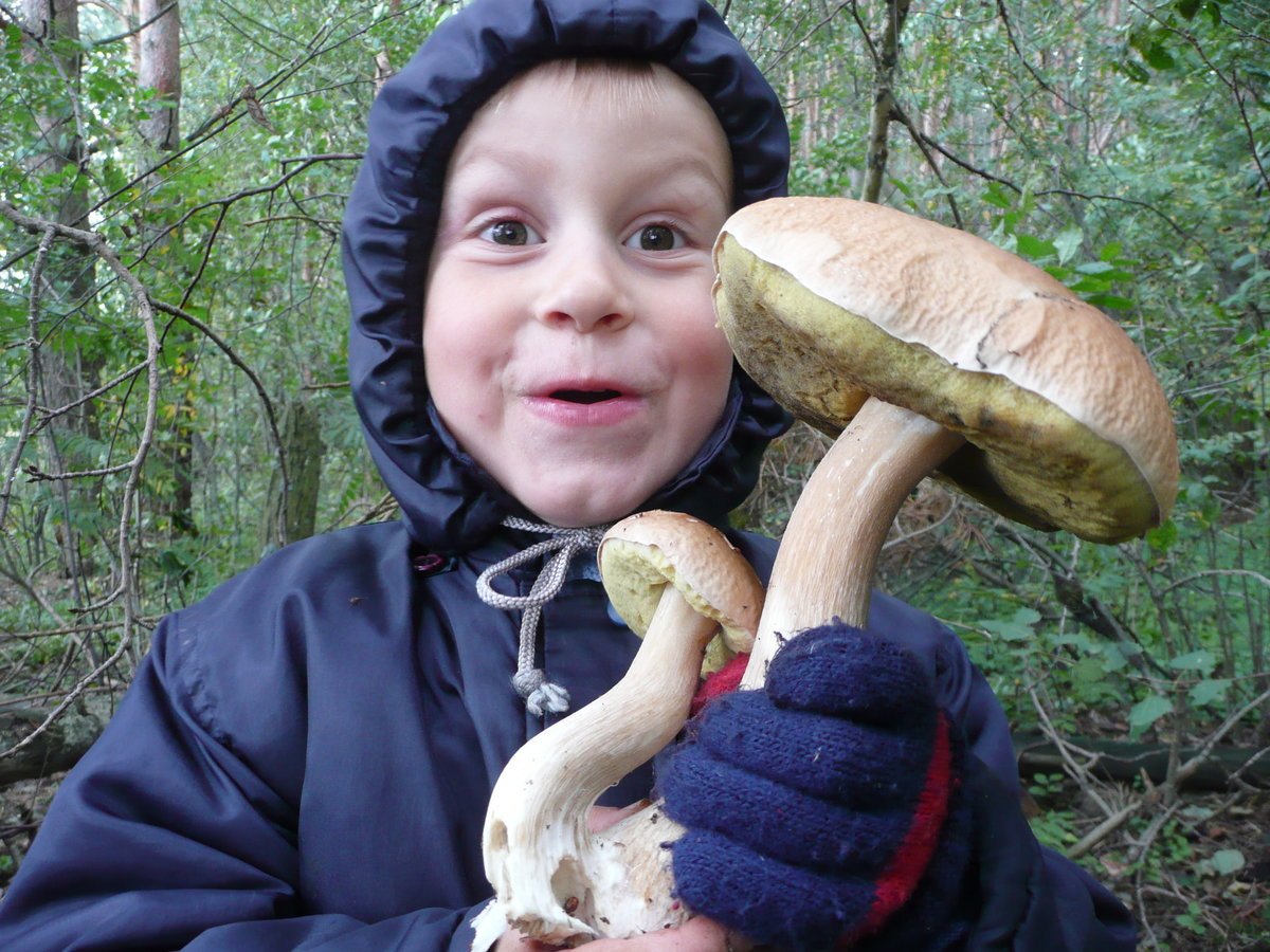 Грибы прикол