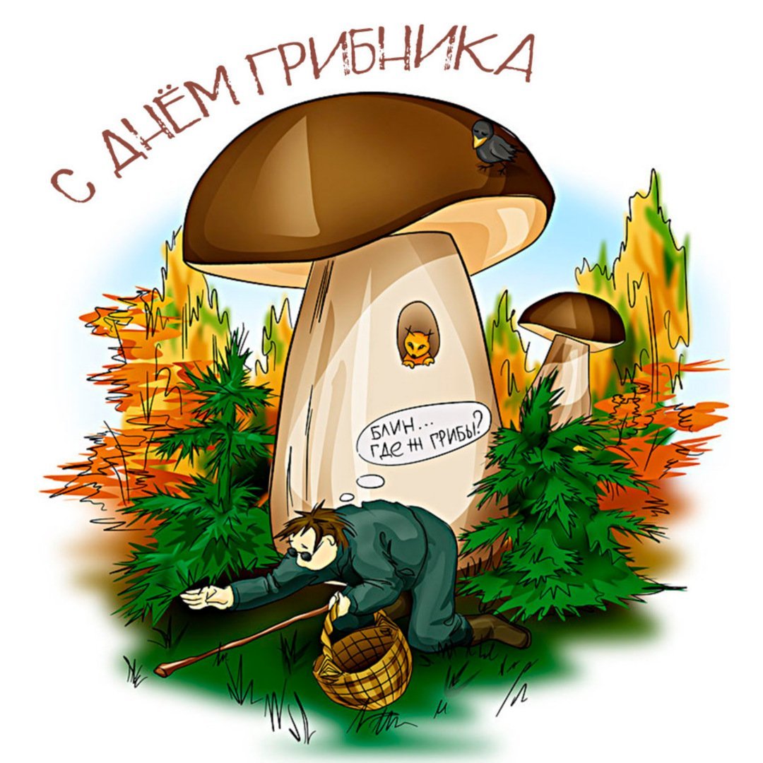 Веселый гриб