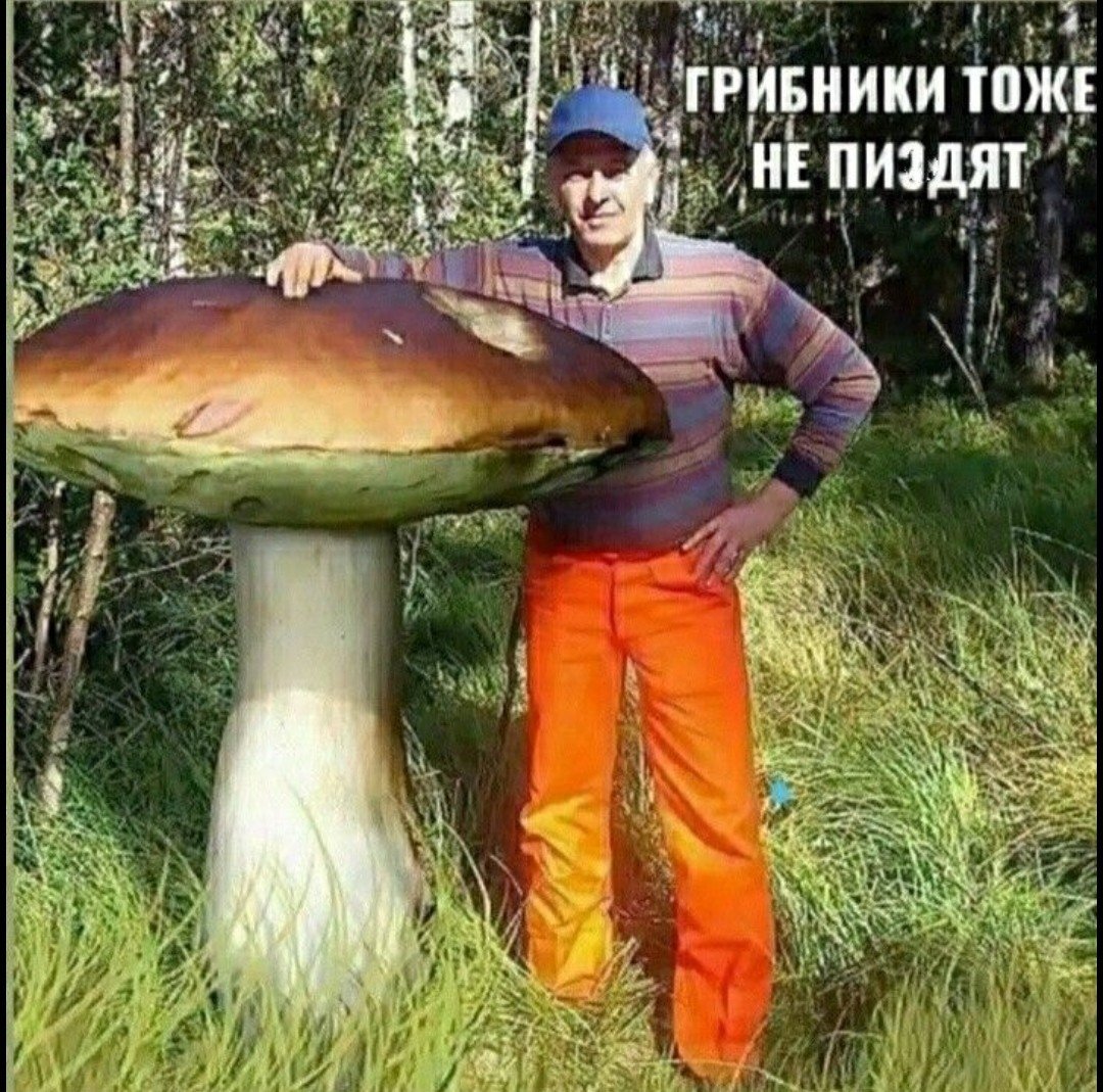 Гигантский белый гриб