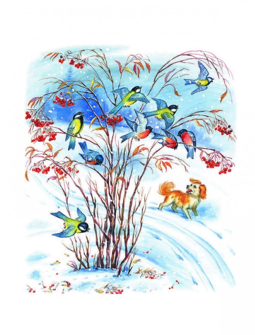 Георгий Скребицкий редкая гостья