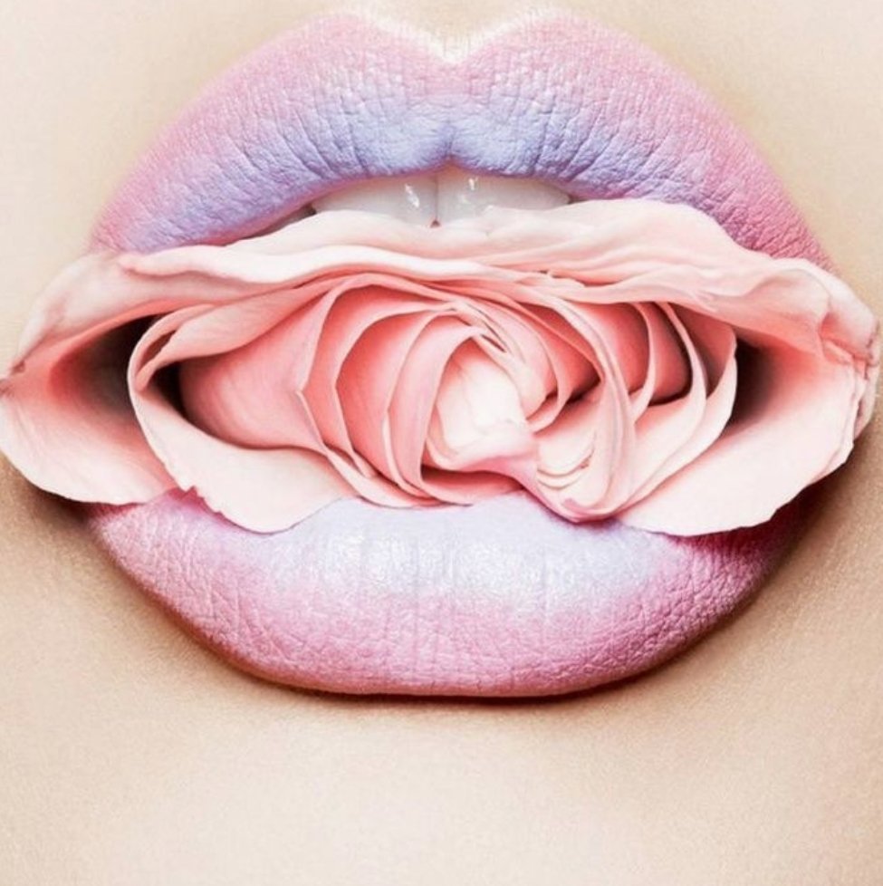 Роза и губы