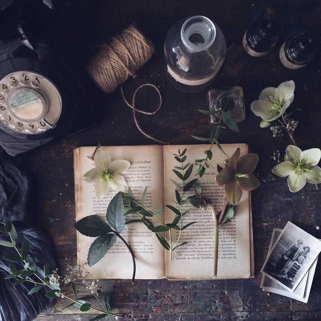 Эстетика ботаника гербарий