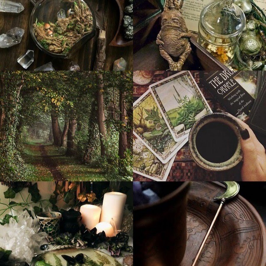 Обитель Лесной ведьмы травник