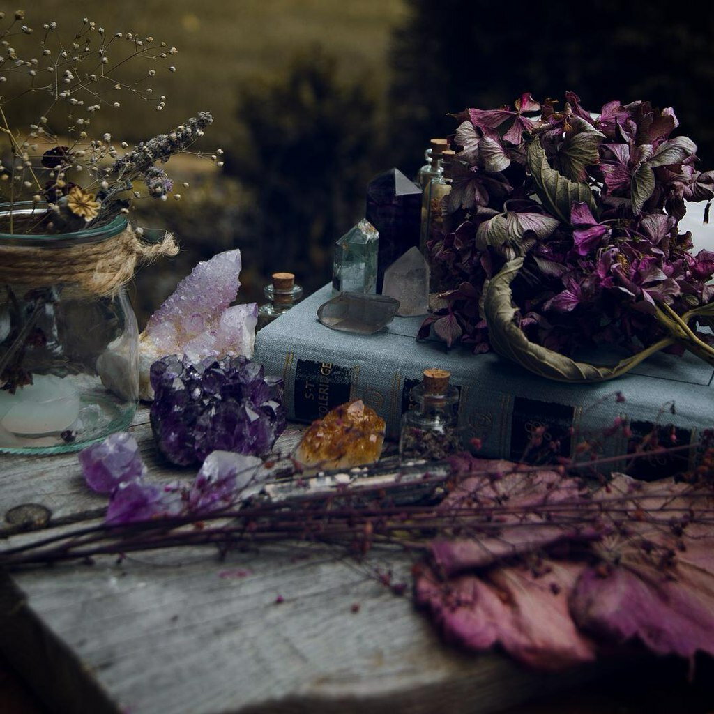 Witch aesthetic травы