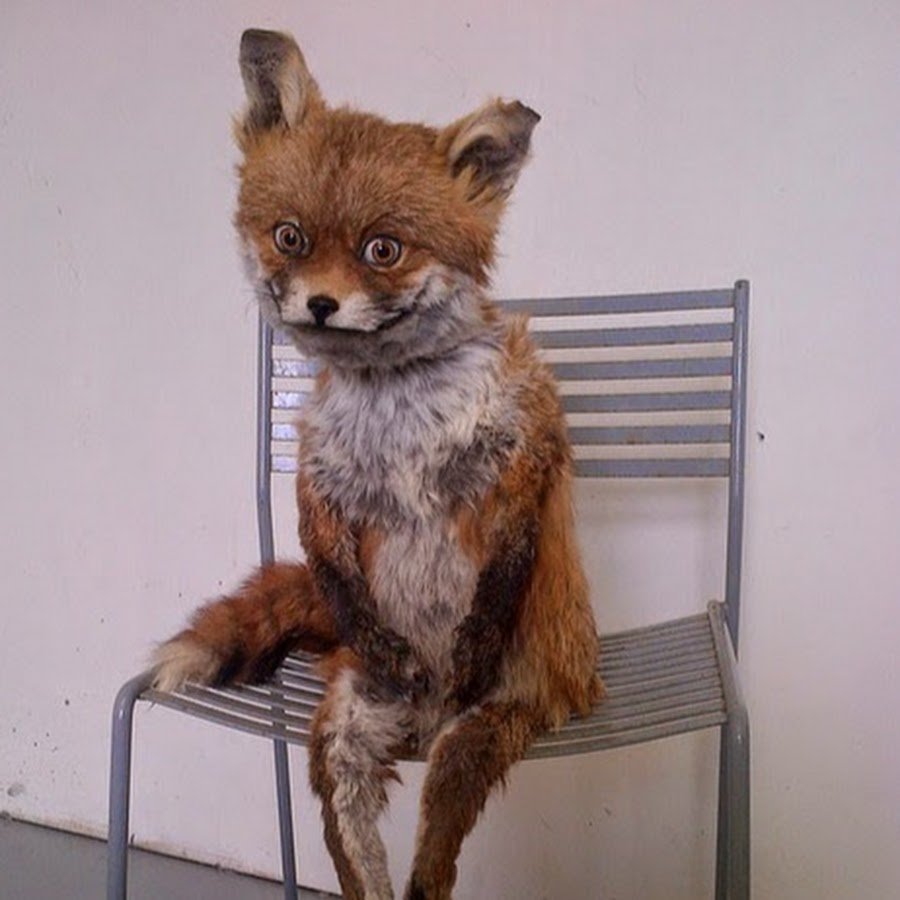 Удачного дежурства полиции