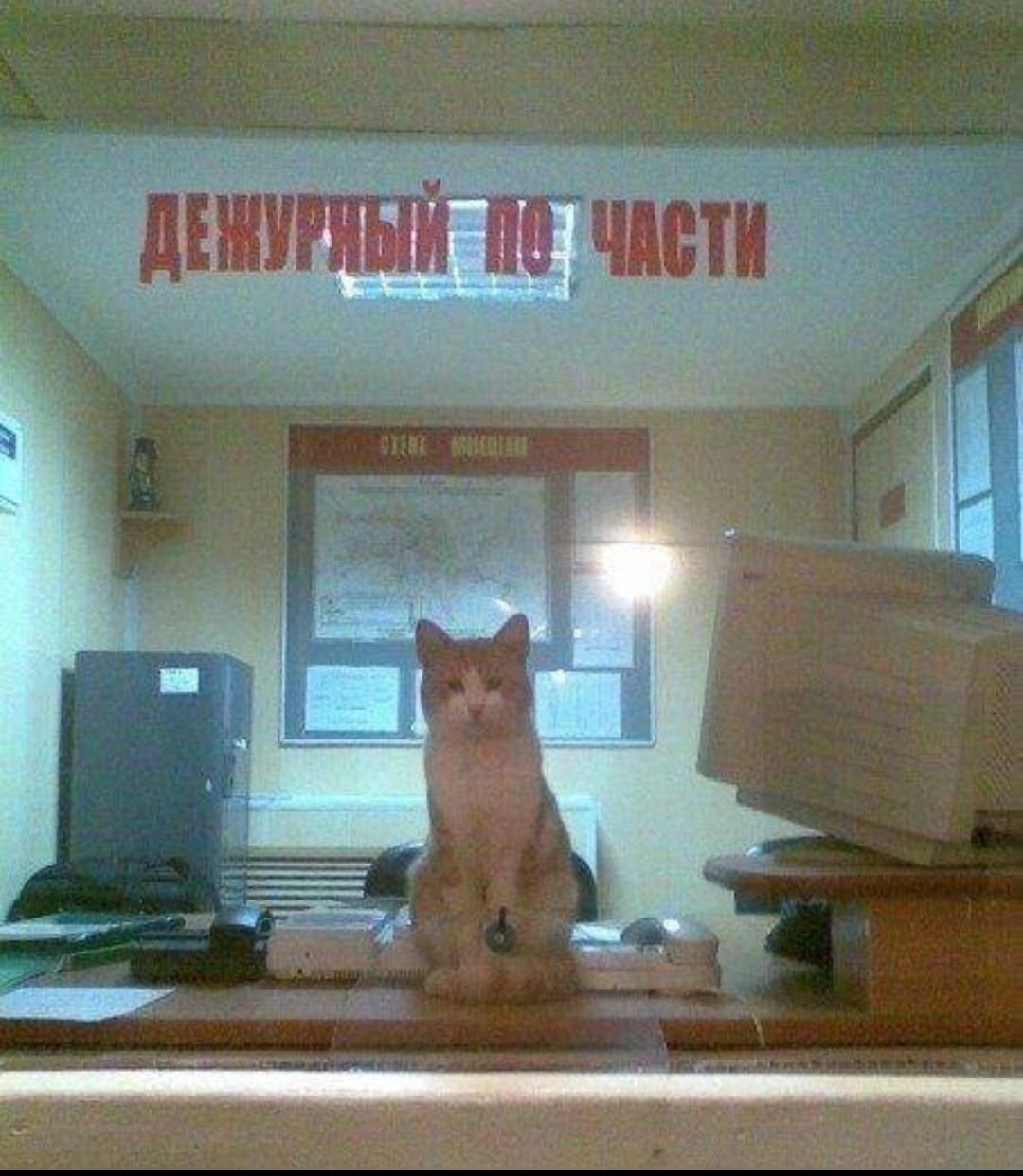 Спокойного дежурства