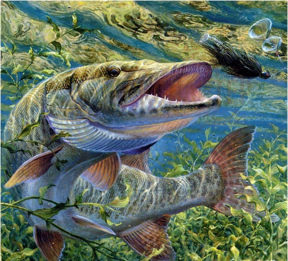 Аквалангист фэнтези